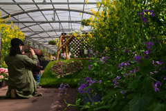 220312a京都植物園54