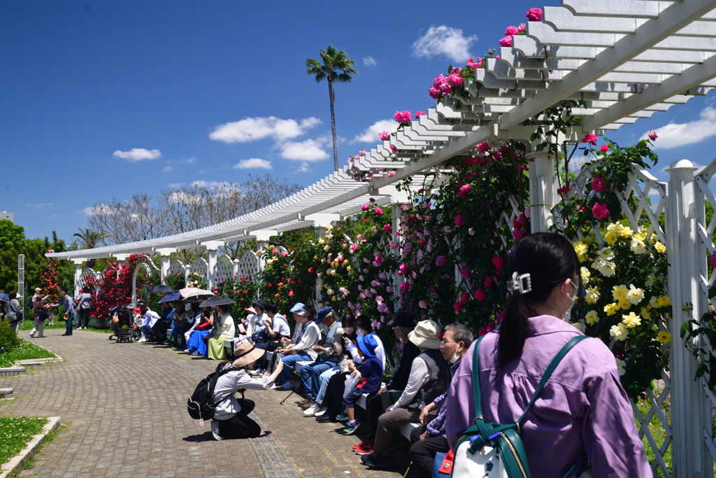 240503a長居植物園21