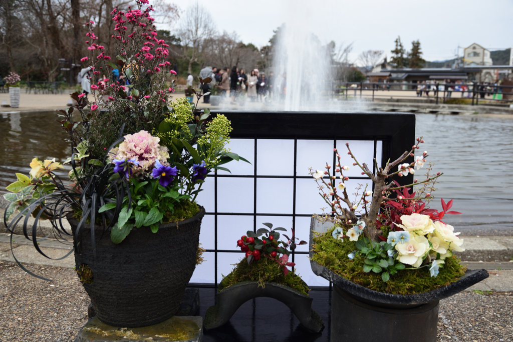 200119京都植物園37