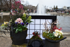 200119京都植物園37 200119京都植物園37