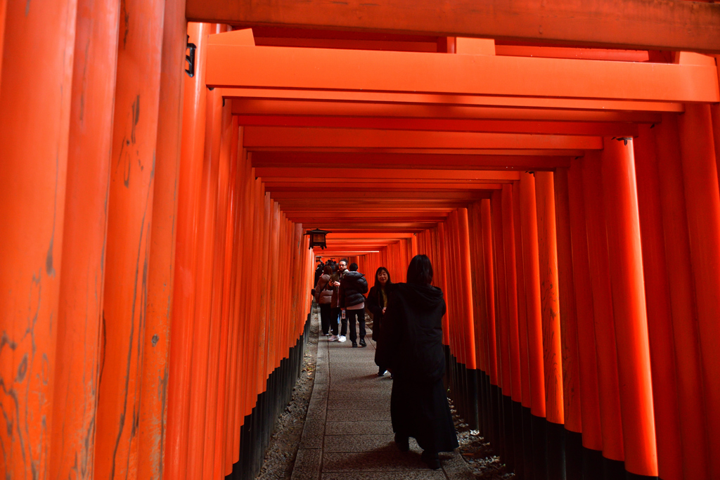 260203a伏見稲荷10