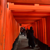 260203a伏見稲荷10