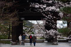 240404c金戒光明寺27