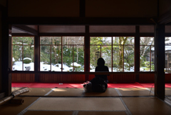 250210a大原三千院08
