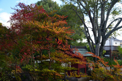 211203b乙訓寺17