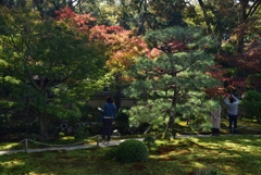 181118c東福寺即宗院43