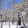 250208a東福寺12