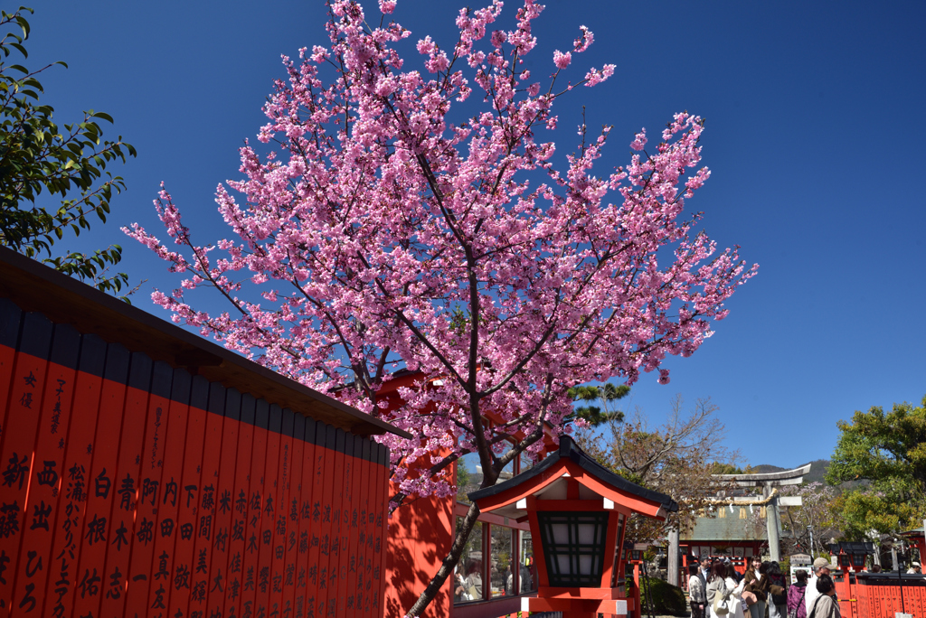 200325b車折神社04