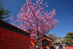 200325b車折神社04