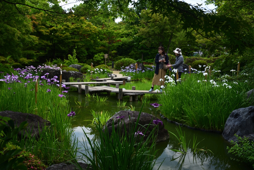 190609b大仙公園08