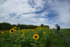 190806馬見丘陵公園12