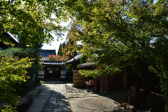 191110b光明院40