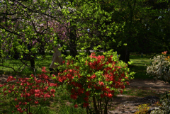 220416d京都御苑49