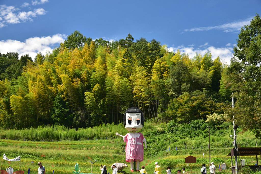 190925b明日香村稲渕18