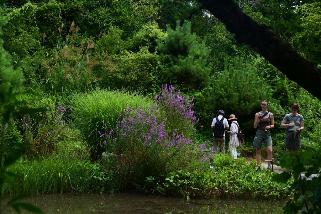 230801京都植物園18