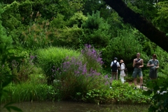230801京都植物園18