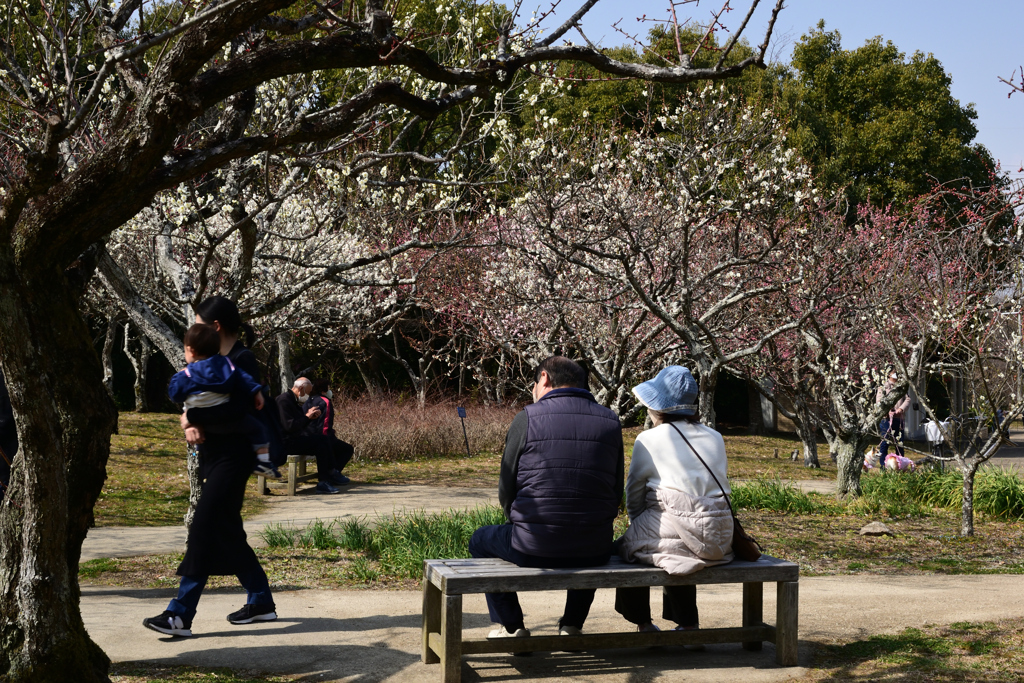 220305a山田池公園12