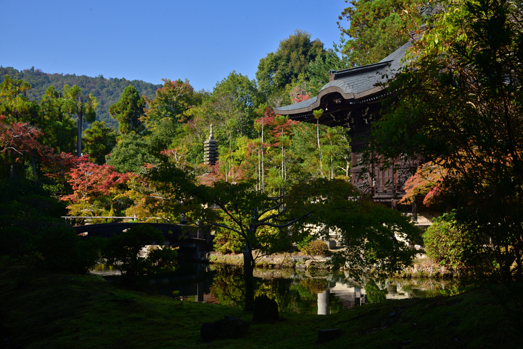 241114a清凉寺15