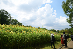 220807馬見丘陵公園62