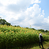 220807馬見丘陵公園62