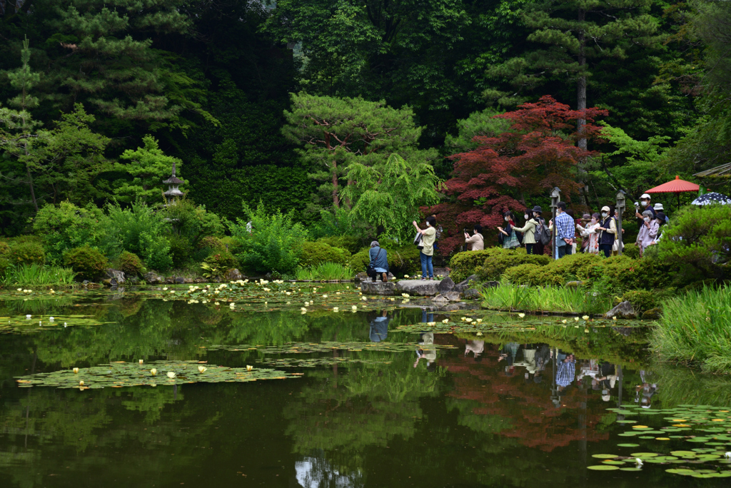 220607平安神宮42