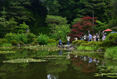 220607平安神宮42