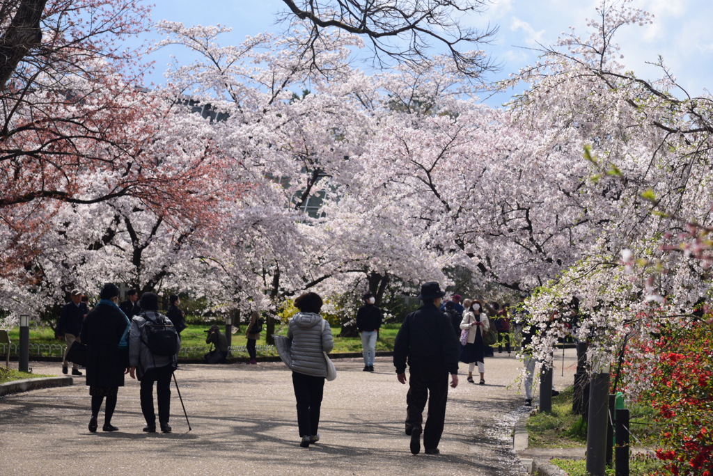 200402a京都植物園77