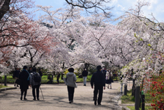 200402a京都植物園77