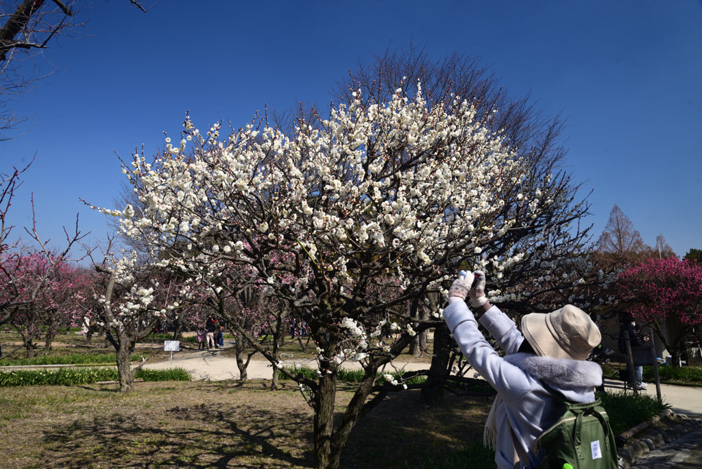 220226万博公園03