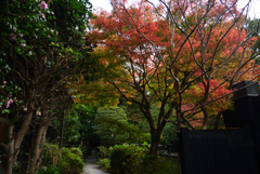 201113蹴上18安養寺