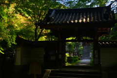 241121e来迎院22