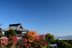 231121a善峯寺26
