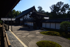 191028a東福寺14