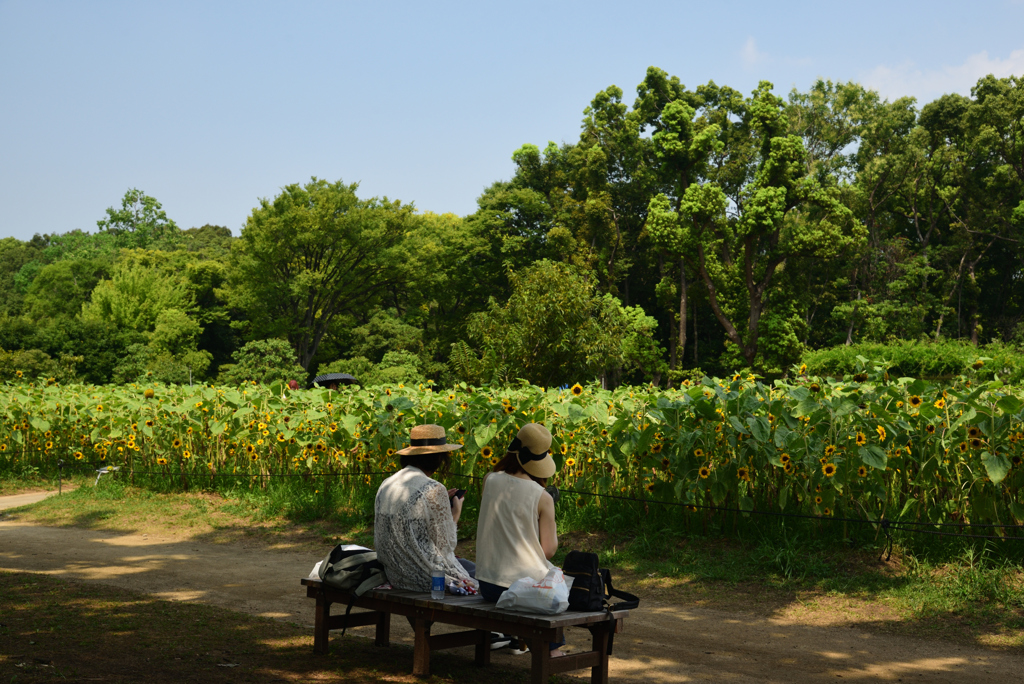 190818長居植物園30