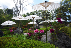 190427c當麻寺奥院23