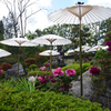 190427c當麻寺奥院23