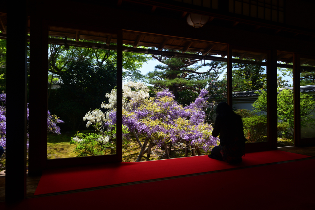 230409b妙心寺長慶院33