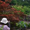 210620長谷寺62