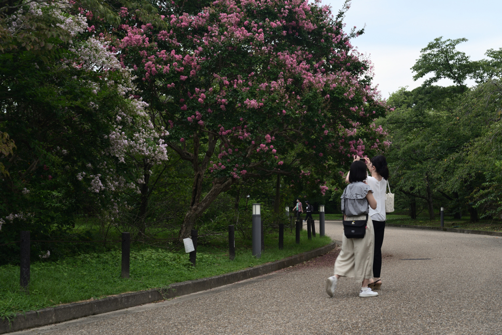 210811京都植物園31