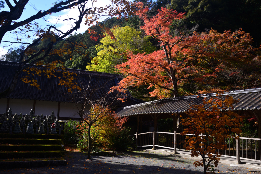 241129c佛通寺10