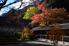 241129c佛通寺10