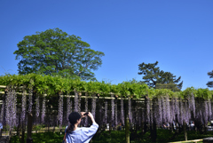 190504平等院58