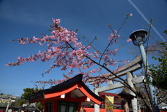 190305b車折神社23