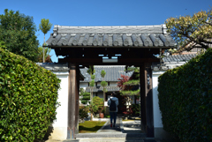 191110a宝塔寺04