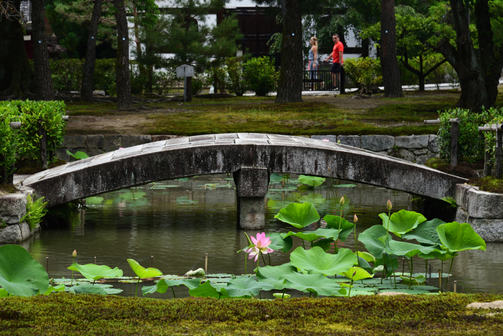 190707a建仁寺37