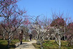 210213山田池公園02