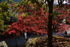 201205d大豊神社39