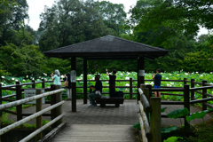 250708京都植物園47