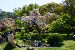 210410b京都御苑31