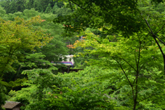 220605a白龍園07